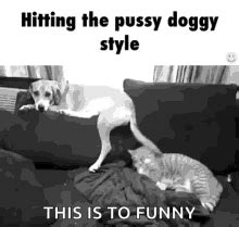 doggy porn gifs|DoggyStyle